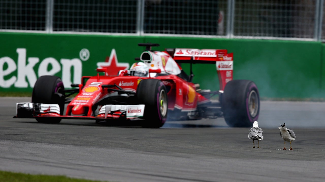 Sebastian Vettel not blaming Ferrari for strategy call in Canada